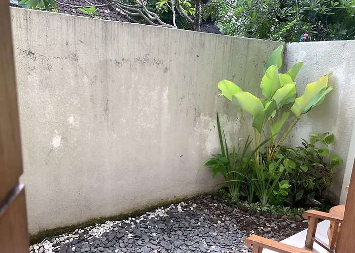 Kuta Suci Guesthouse Hotel Kuta (Bali)